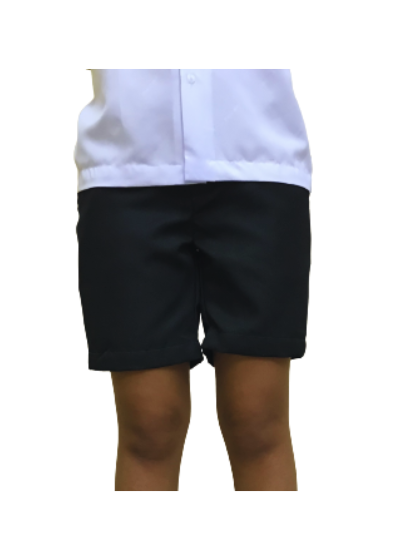 Corto Shorts - size 6 to 4XL