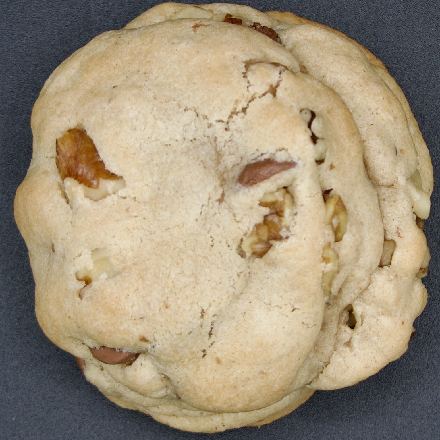 Chocolate Chip Walnut Cookie 3oz Main Image