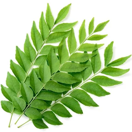 Curry Leaf