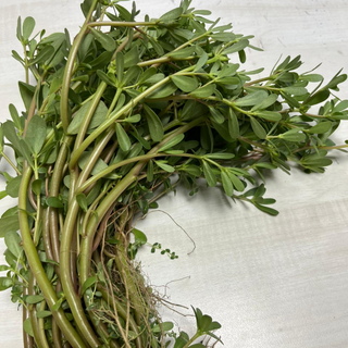 חצי קילו ריגלת הגינה -  12₪