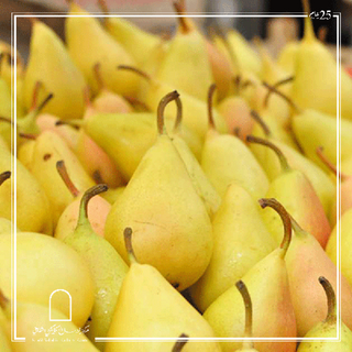 Pears اجاص