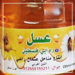 Mountain Honey (per 1 kg) - عسل جبلي (لكل كجم)