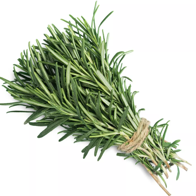 Romero fresco por manojo