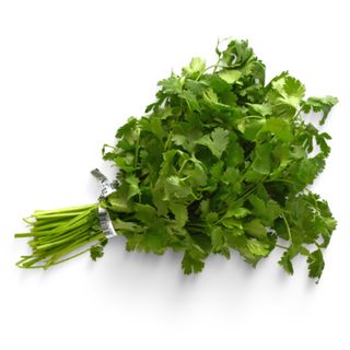 Cilantro por manojo de 120grs