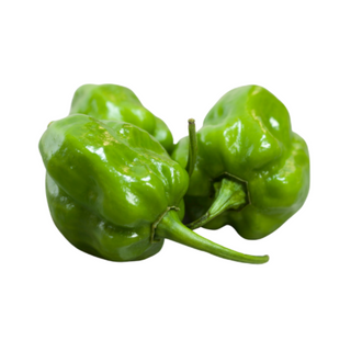 Chile habanero 