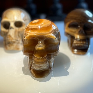 Mexican Onyx Skull