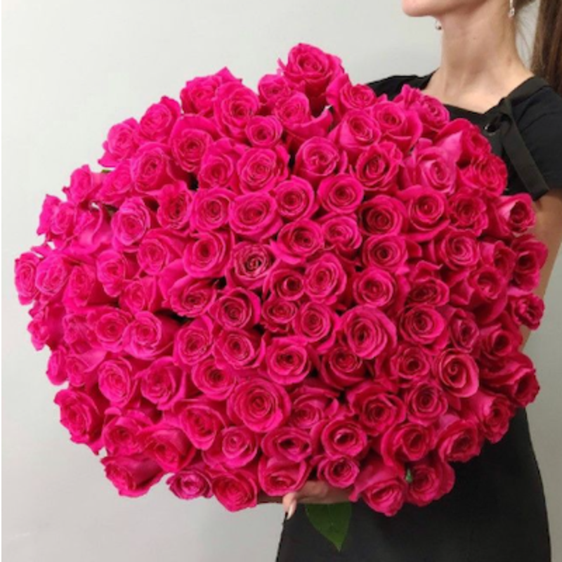 101 Pink Roses