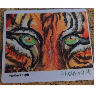 Mousepads