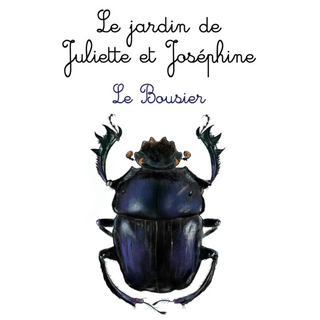 Le Bousier - Le jardin de Juliette et Joséphine 