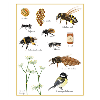 Planche #1 : L'Abeille