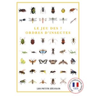 Jeu des 7 ordres d'insectes