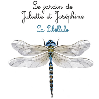 La Libellule - Le jardin de Juliette et Joséphine 1