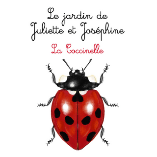 La Coccinelle - Le jardin de Juliette et Joséphine 