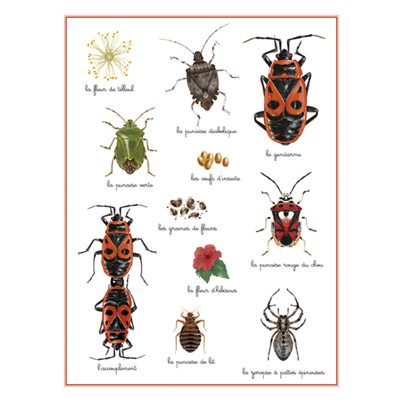 Planche #6 : Le Gendarme