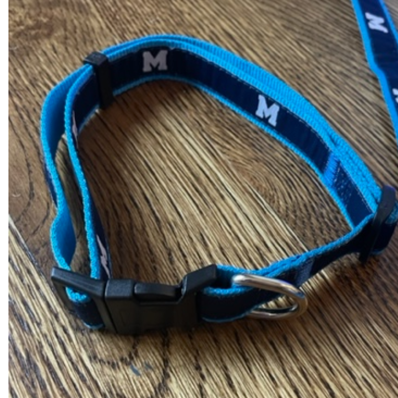 Dog Collar Main Image