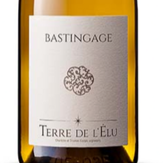 Bastingage 2023 / Blanc