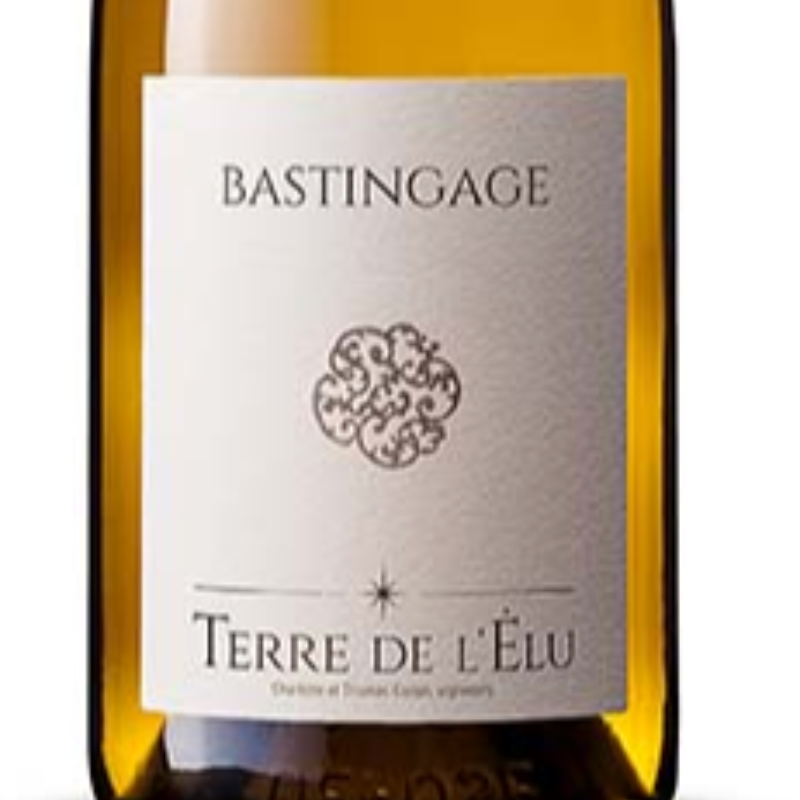 Bastingage 2023 / Blanc