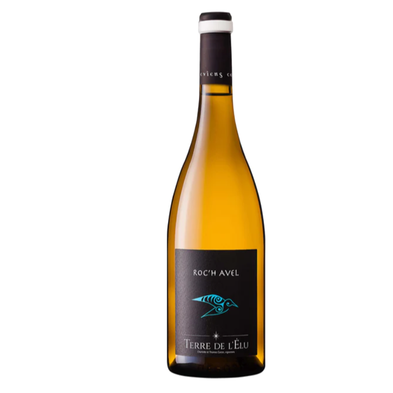 Roc'h Avel 2024 / Blanc