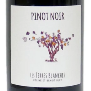 Pinot Noir 2024 / Rouge