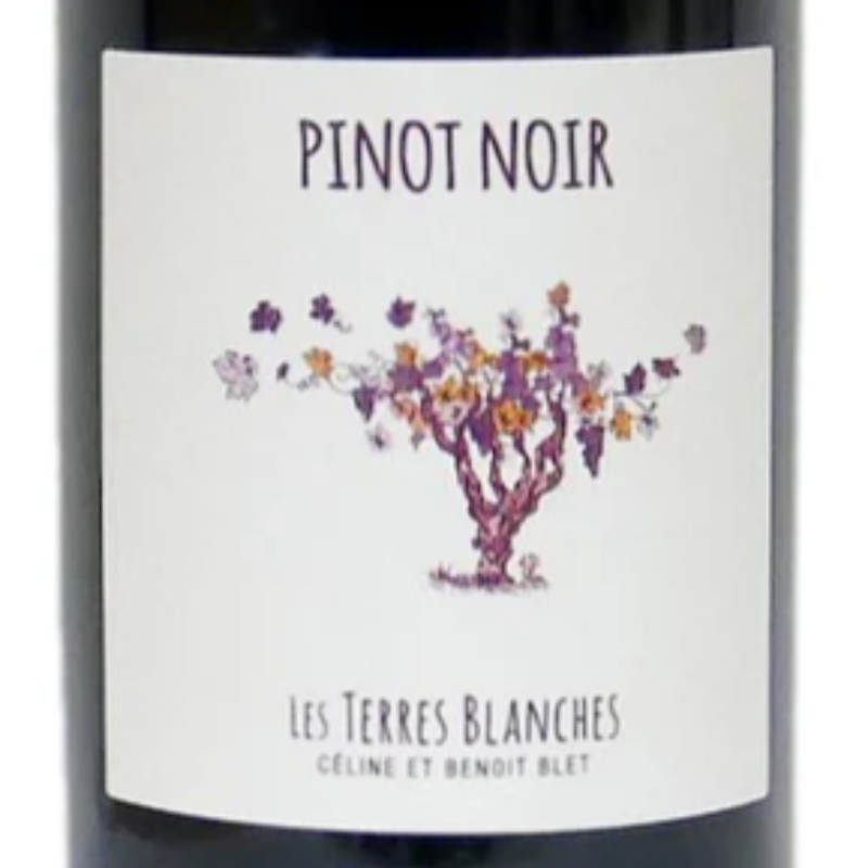 Pinot Noir 2024 / Rouge