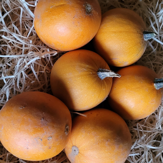 Pomme d'or