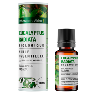 Eucalyptus Radié - 10ml