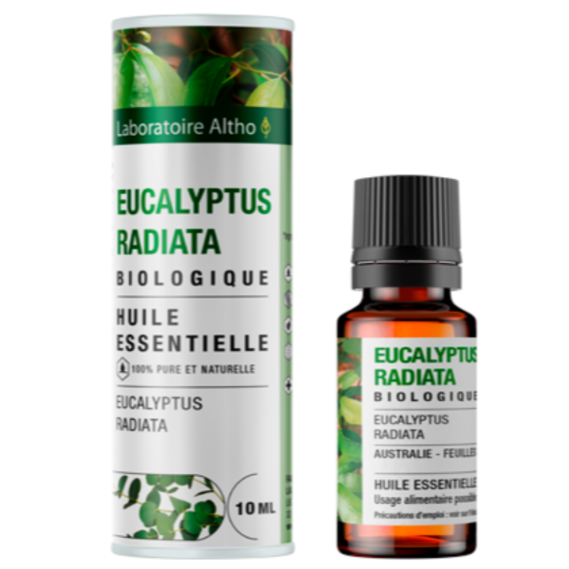 Eucalyptus Radié - 10ml Main Image