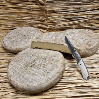 Saint Nectaire Fermier AOP