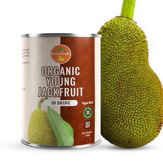 Organic Young Jackfruit in brine