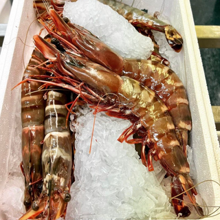 珍寶虎蝦 Fresh Giant Black Tiger Prawn  