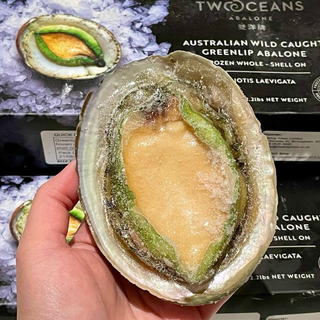 澳洲青邊鮑 XL size Australian Greenlip Abalone XL size  - Thumbnail 2