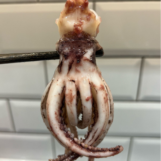 急凍魷魚鬚 Frozen Squid Tentacles  - Thumbnail 3