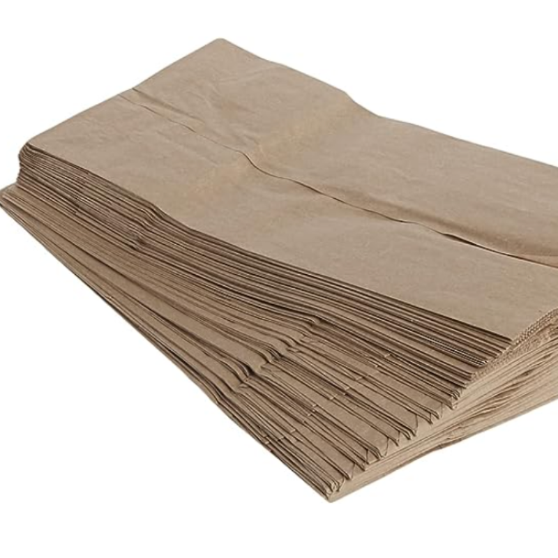 Paper Bags - Pack w/100 bags