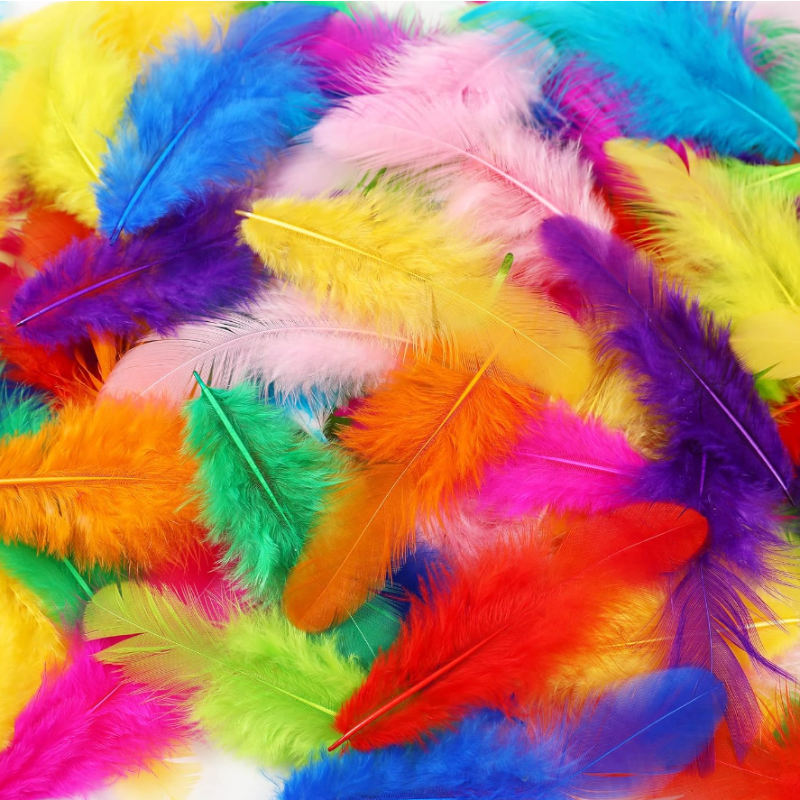 Feathers - Pack w/450 