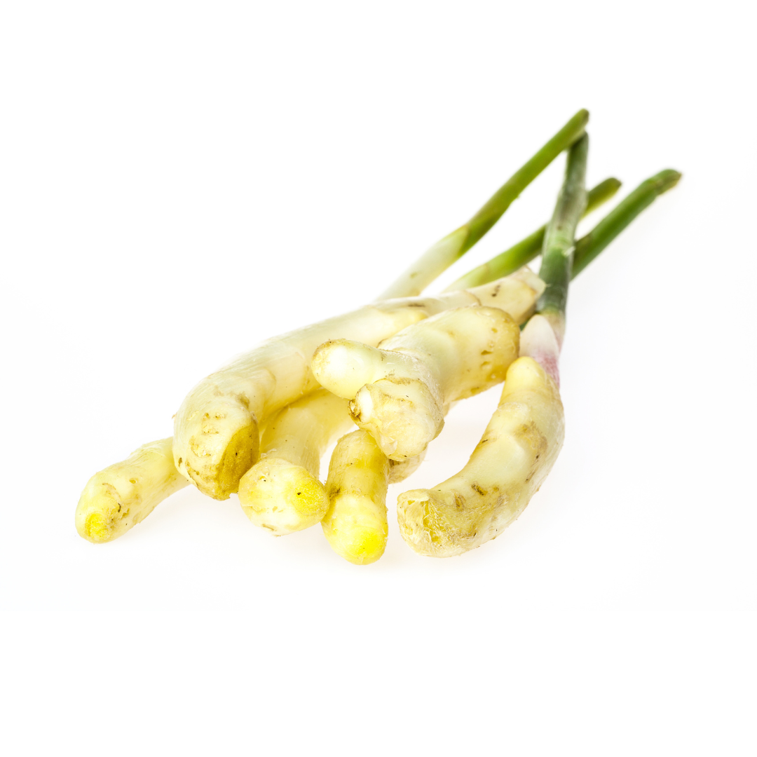 Young Ginger (~500g) Main Image