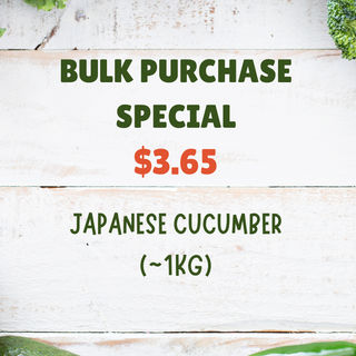 Japanese Cucumber Special