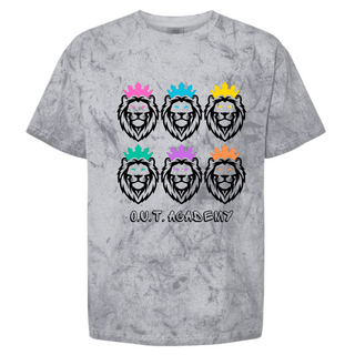 RAINBOW LOGO T-SHIRT (grey tie dye) 