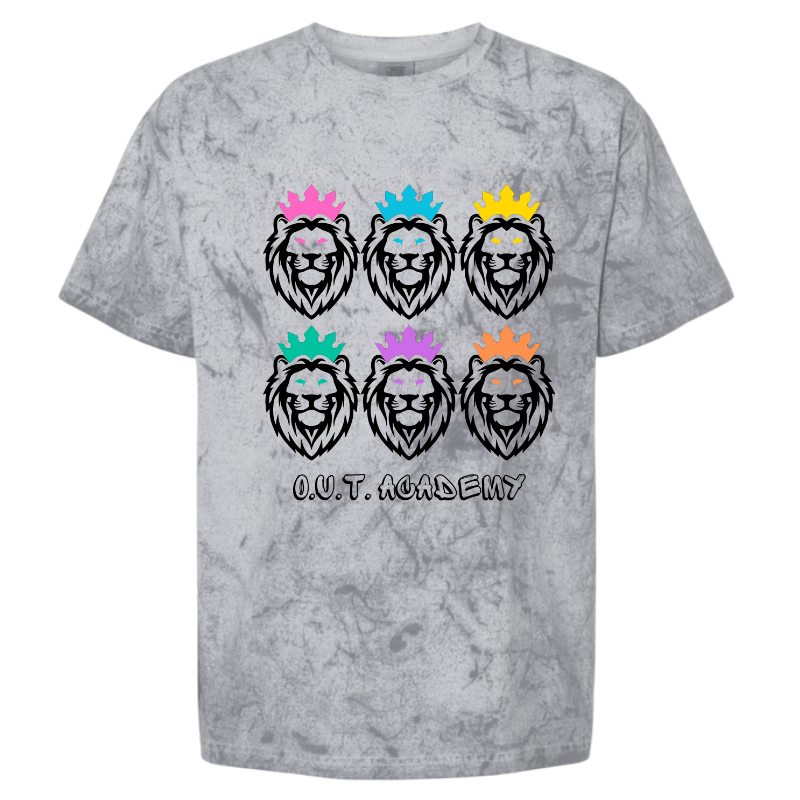 RAINBOW LOGO T-SHIRT (grey tie dye) 