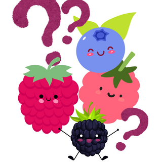 Berry Base 