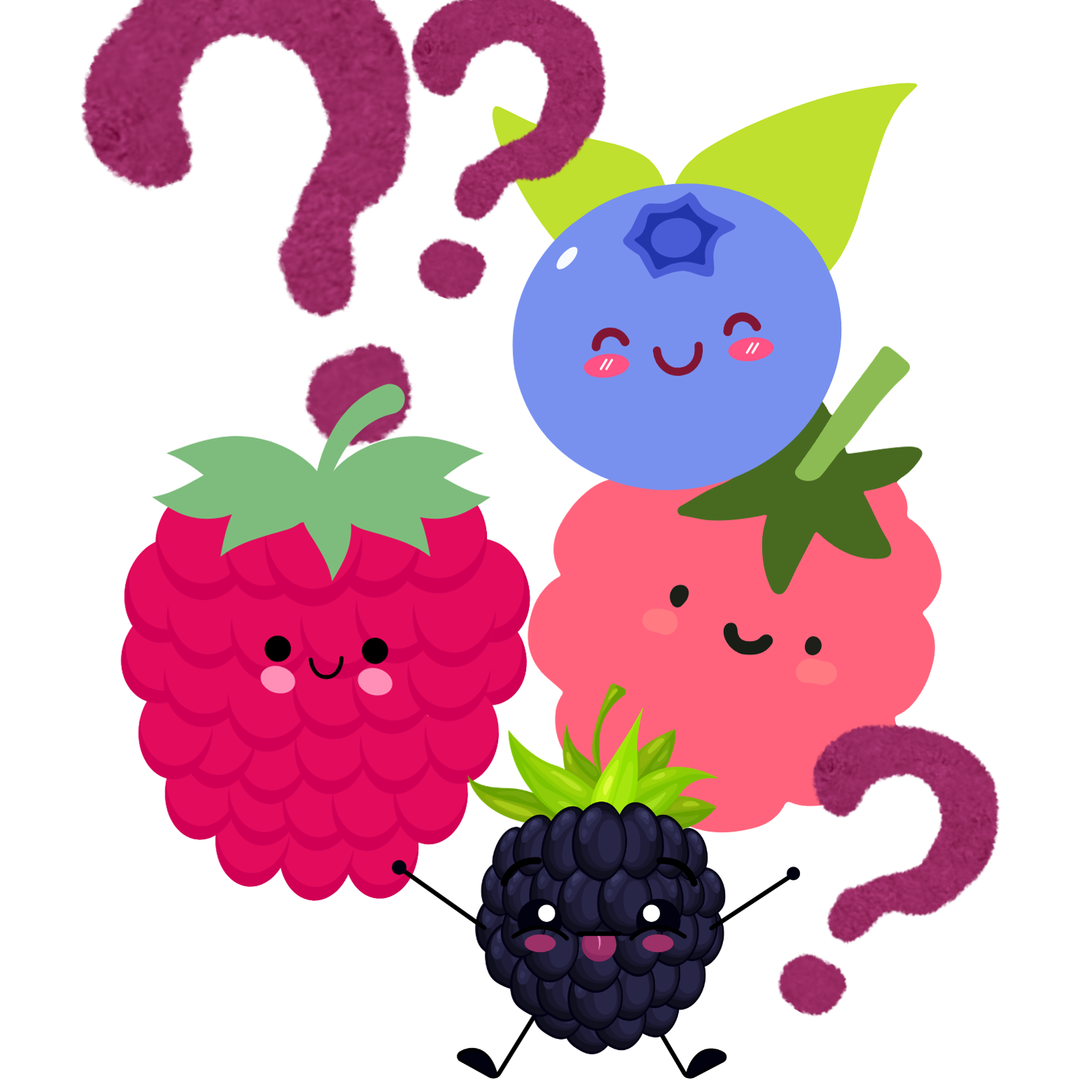 Berry Mystery Pack 
