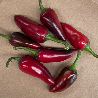 Peppers, Czech Black