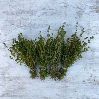 Thyme