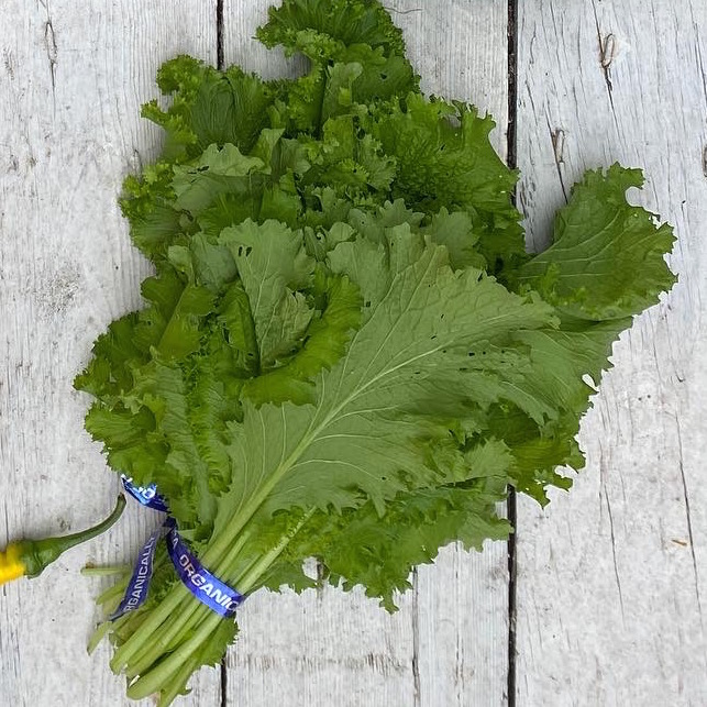 Mustard Greens, Bunched