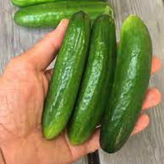 Cucumber, Çengelköy