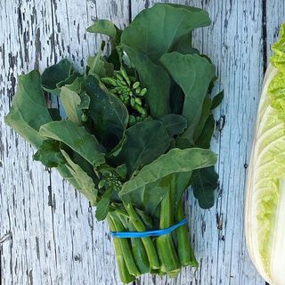 Gailaan (Chinese Broccoli), Bunched