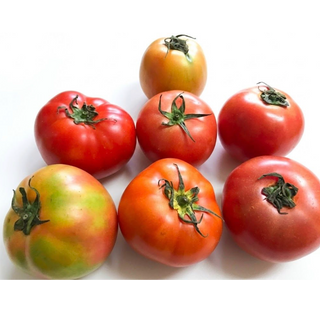 Tomato, Salad (500g/pack)