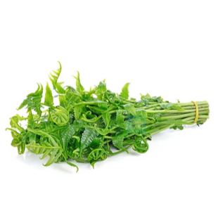 Pako, Wild Fern (250g/pack)