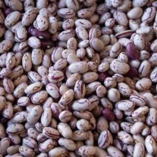 Beans, Cranberry (500g/pack)