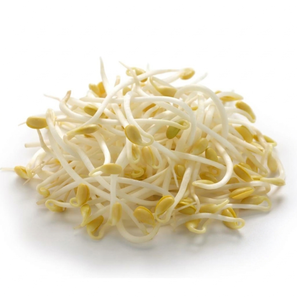 Togue / Bean sprouts (500g/pack)