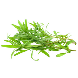 Tarragon (200/pack)